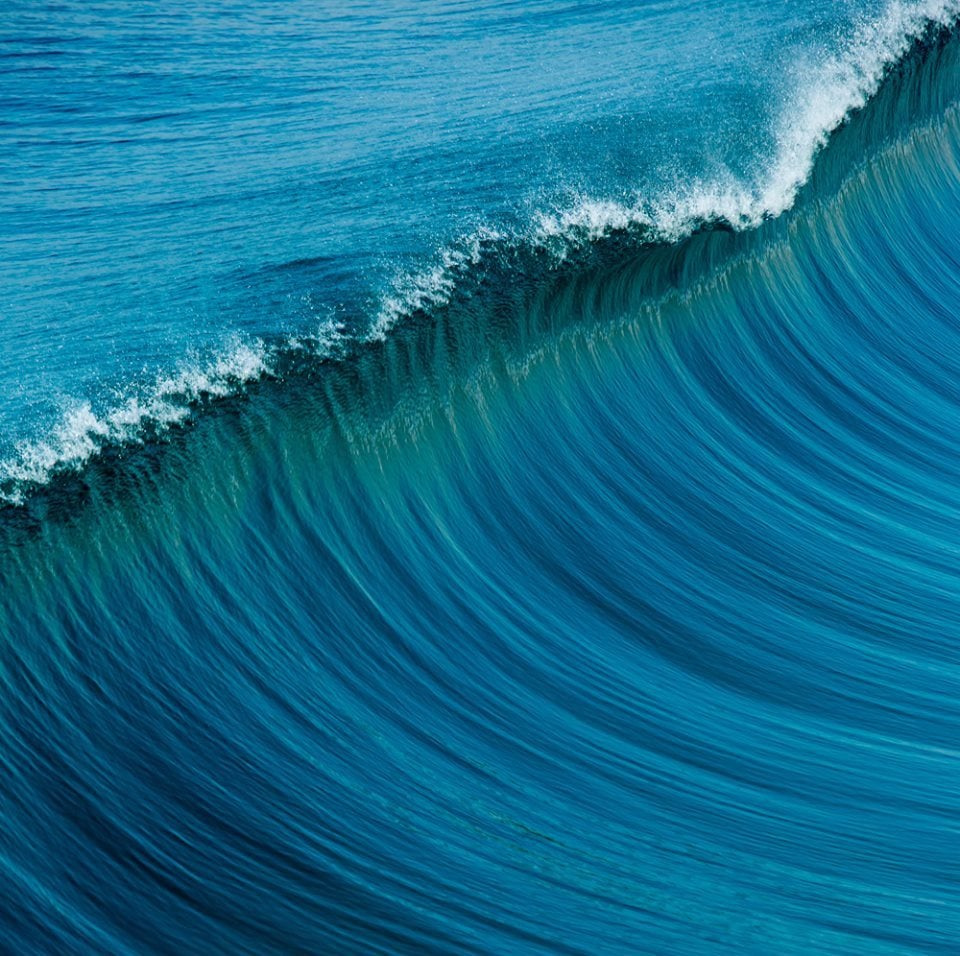 Power your performance Blue Wave
