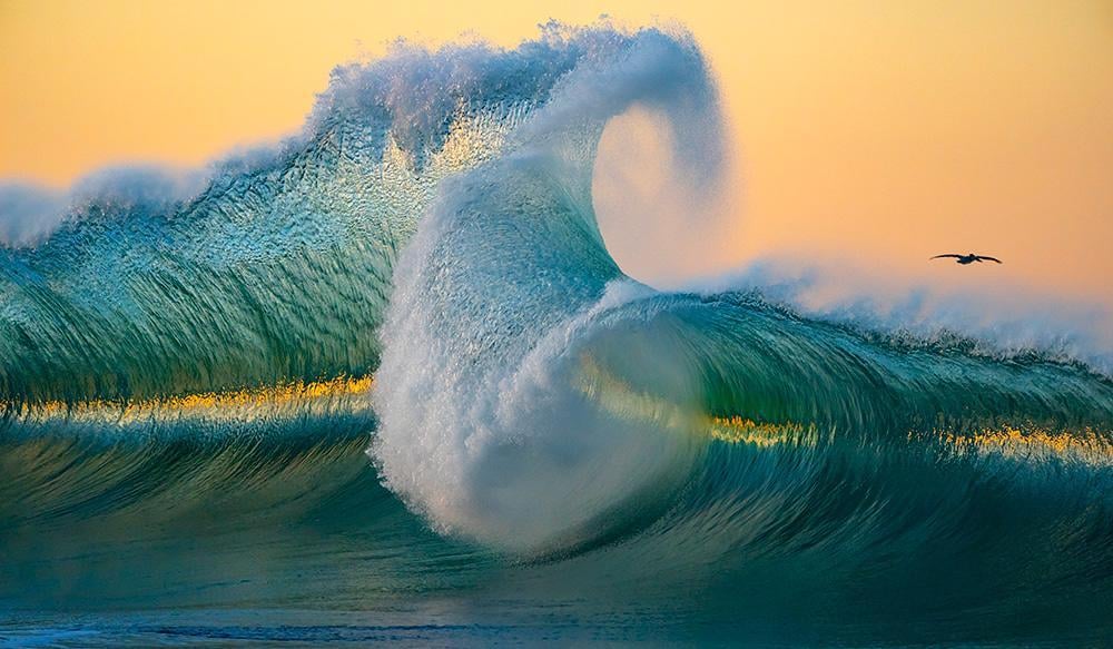 Wealth Waves Crashing